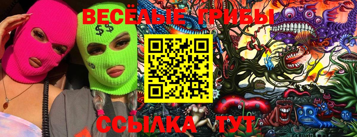 цена   Псилоцибиновые грибы GOLDEN TEACHER  Вход с VPN  Карталы  Псилоцибиновые грибы GOLDEN TEACHER 
