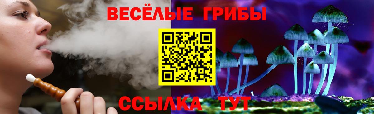 Галлюциногенные грибы MAGIC MUSHROOMS Карталы