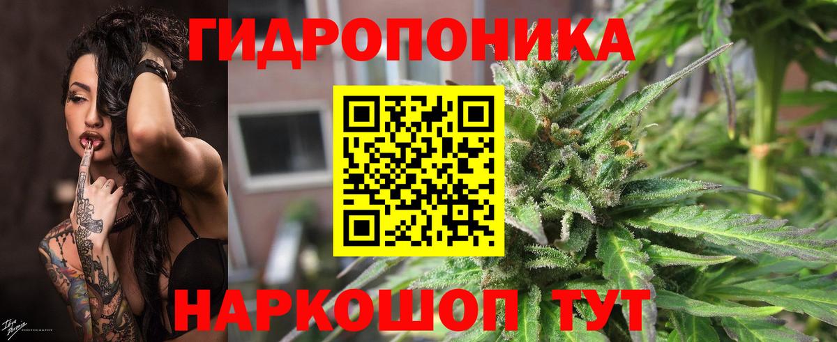 Карталы  МАРИХУАНА Amnesia  Вход с VPN  МАРИХУАНА марихуана  МАРИХУАНА AK-47 
